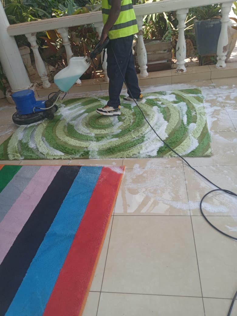 Rug Shampoo & Wash